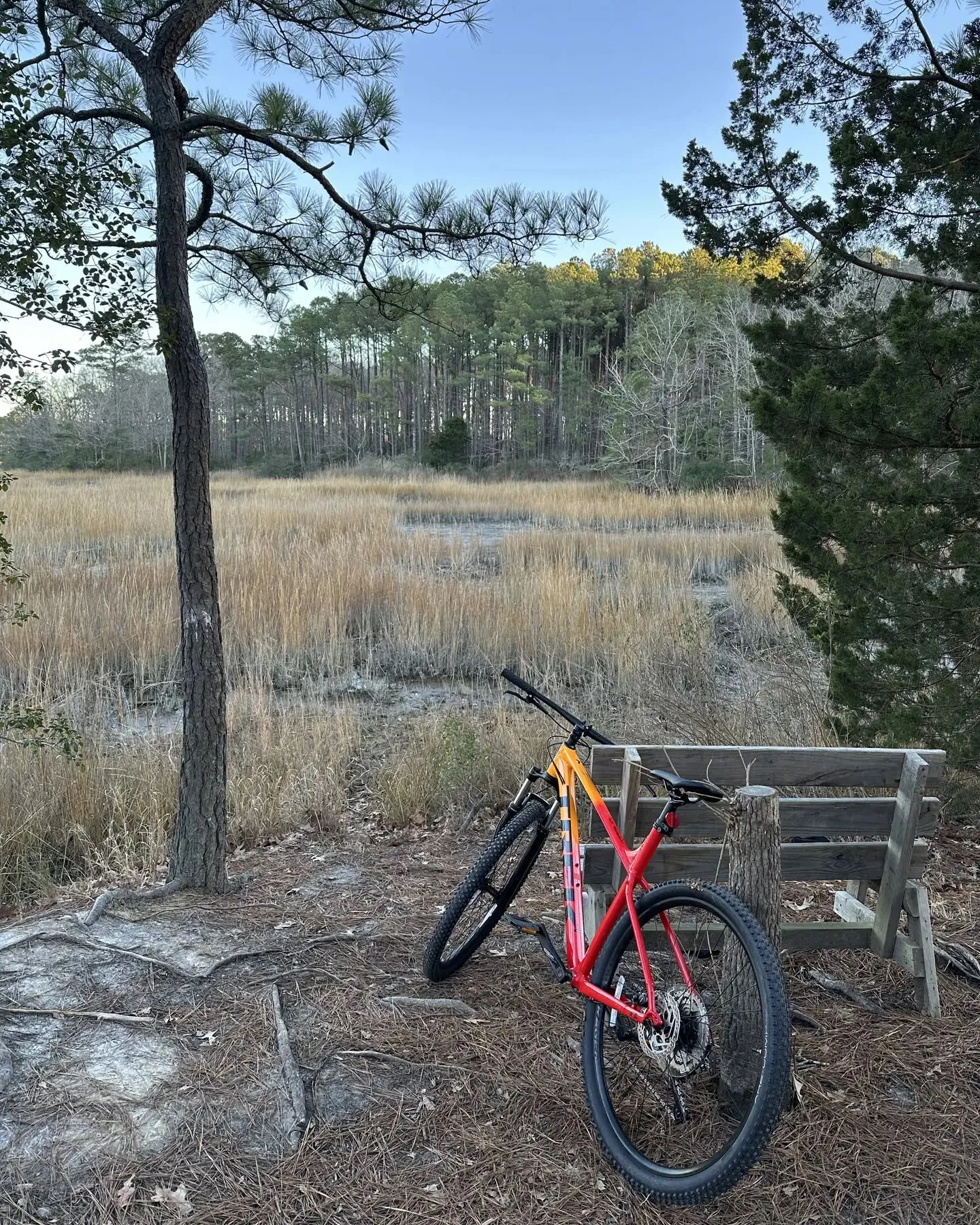 my bike!